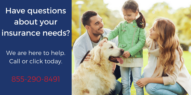 Help Protect Your Pets with Pet Health Insurance